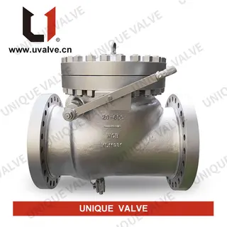 ASTM A216 WCB Check Valve, 20 Inch, Class 600, API 1868, RF
