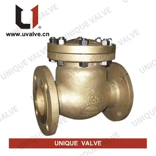 Aluminium Bronze Check Valve