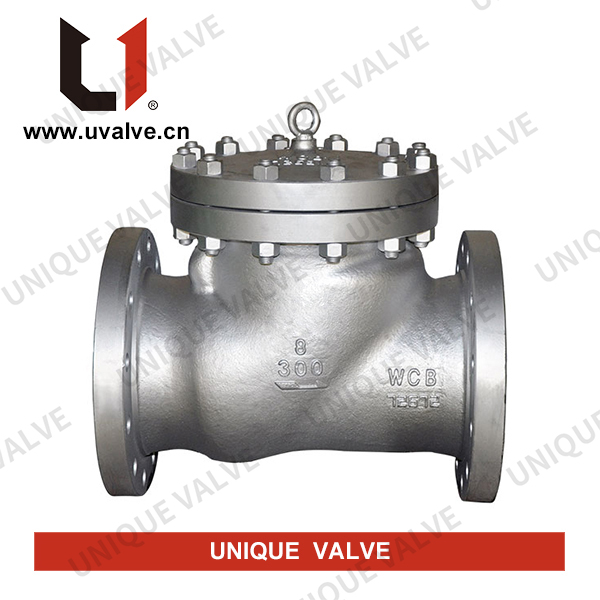 Soft Seated Check Valve with RF End, DN15-DN1200, PN16-PN420