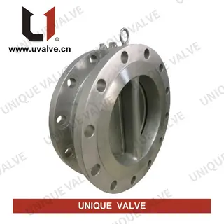 Dual Plate Check Valve