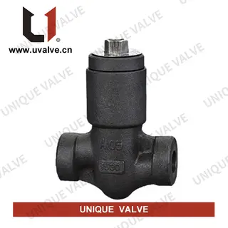 Pressure Seal Check Valve