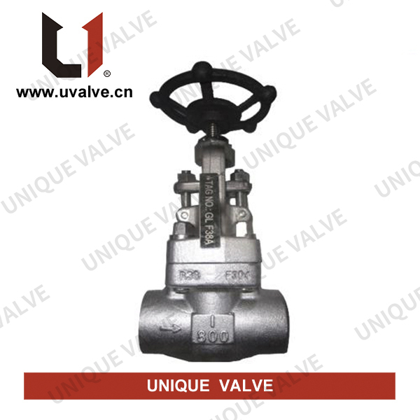 Forged Stainless Steel Gate Valve