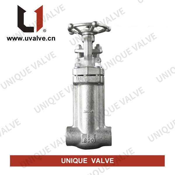 Forged Steel Bellows Seal Gate Valve