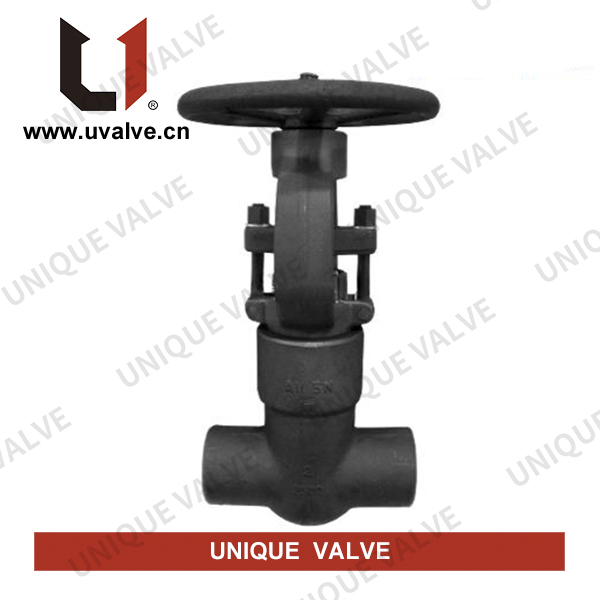 Pressure Seal Gate Valves