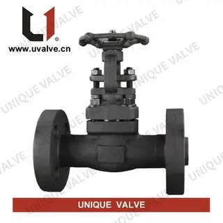 ASTM A105 Gate Valve