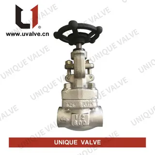 ASTM A182 F316 Gate Valve