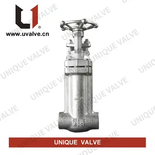 Forged Steel Bellows Seal Gate Valve