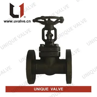 Black Color Gate Valve
