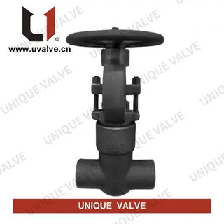 Pressure Seal Gate Valves