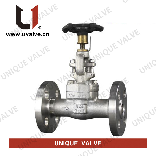 ASTM A182 F304 Gate Valve