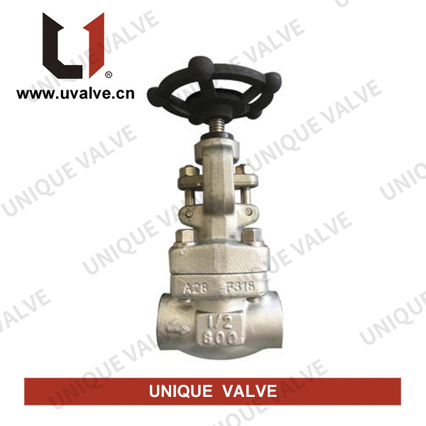 ASTM A182 F316 Gate Valve - China Manufacturers