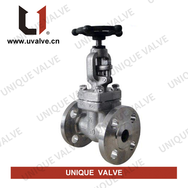 Forged Stainless Steel Globe Valve