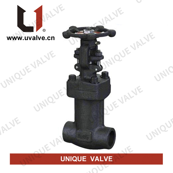 Forged Steel Bellows Seal Globe Valve