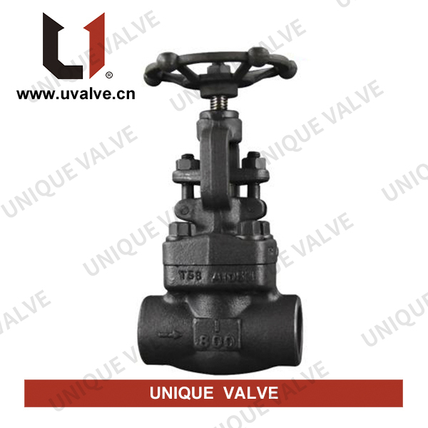 API 602 Forged Steel Globe Valve