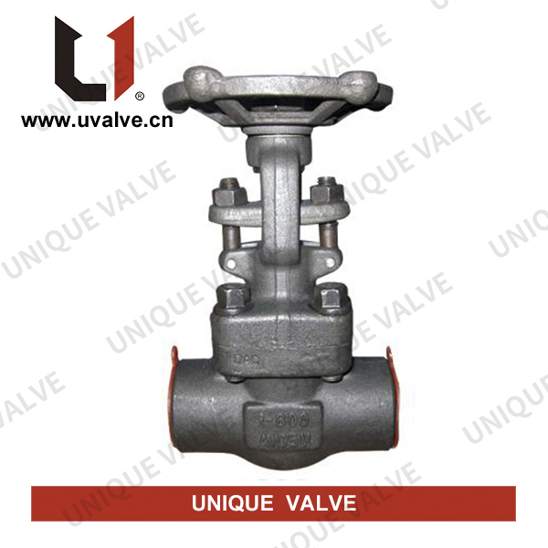 ASTM A105 Globe Valve