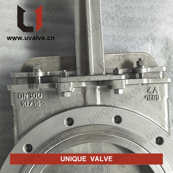 Bi-direction Knife Gate Valve