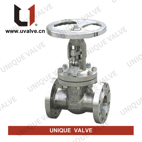 Titanium Gate Valve