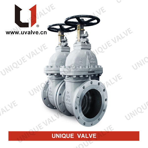 Non-rising Stem Gate Valve, 12 Inch, API 600, 150 LB, RF
