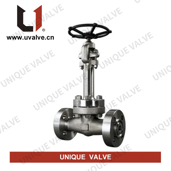 Extended Bonnet Globe Valve