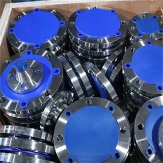 Forged SS 316L Weld Neck Flange, 1/2-24 Inch, DN15-DN600, RF