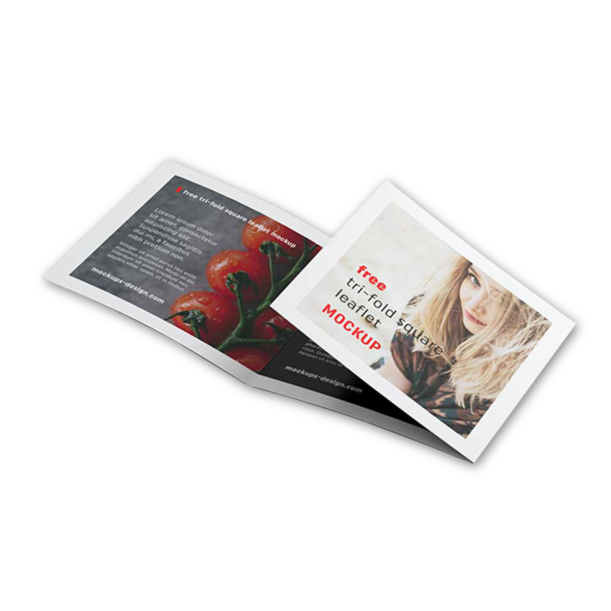 Custom Handbill, Folded Flyer & Leaflet Printing