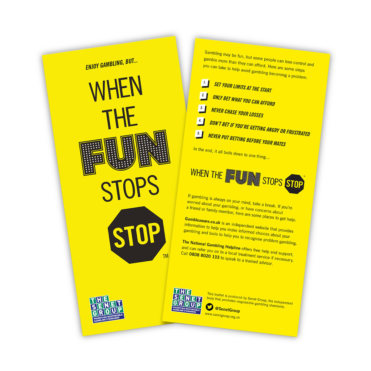 custom printed flyer