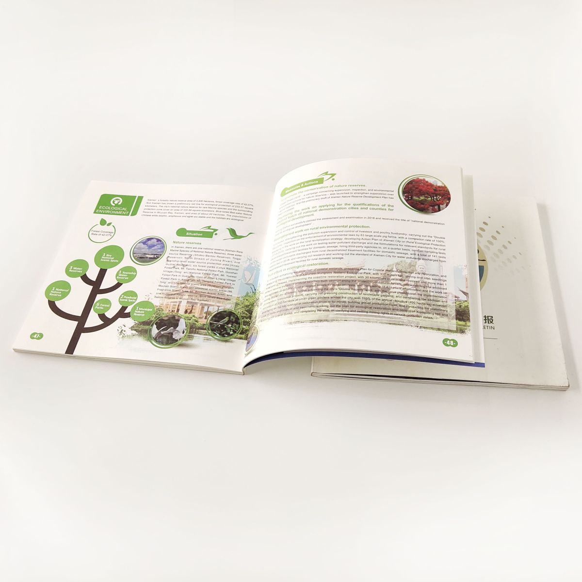 Custom printed Book Project Description Enterprise Introduction