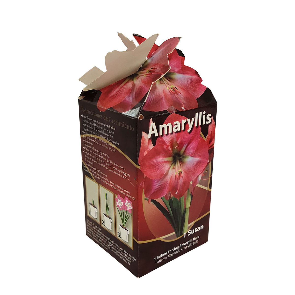 Lowes Plant Packaging Folding Boxes
