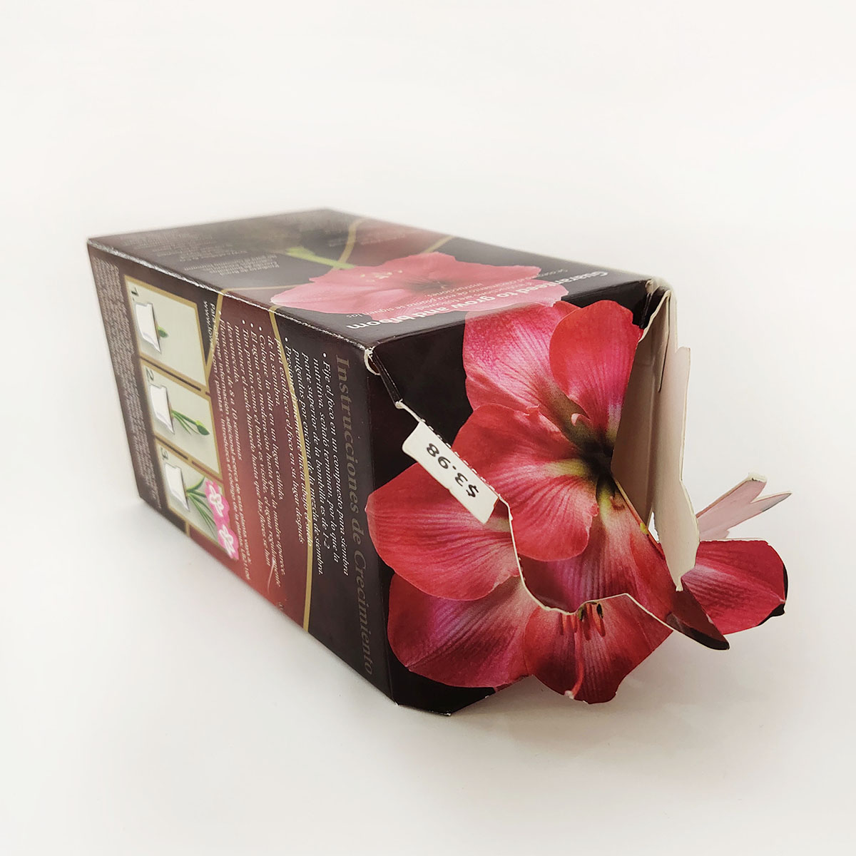 Lowes Plant Packaging Folding Boxes