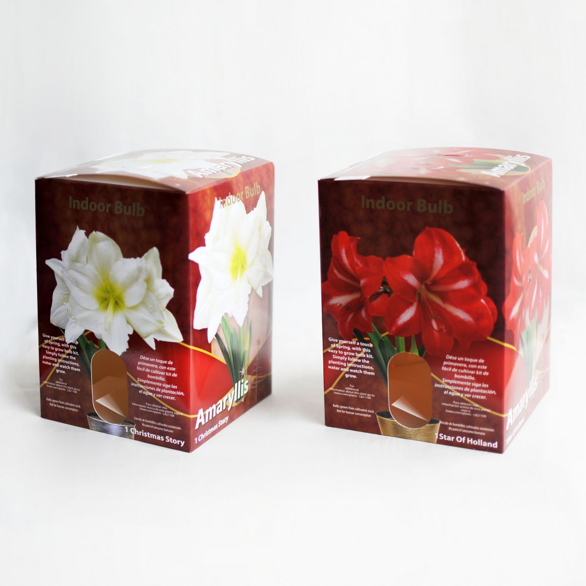 Lowes Plant Package Folding Box Window Box