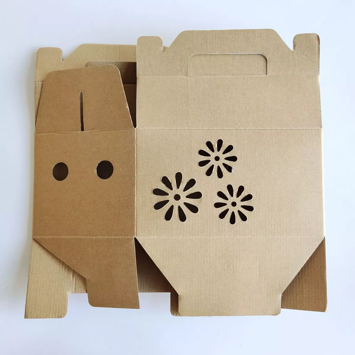 SB014 Board Carton Box Fruit Packaging Cardboard Boxes