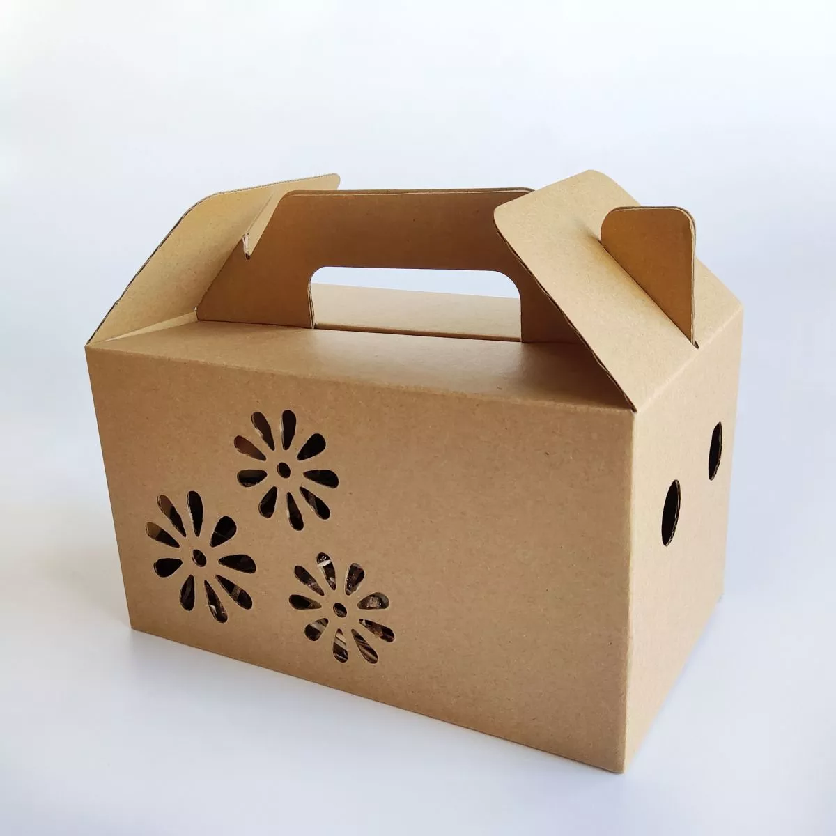 SB014 Corrugated Board Carton Box Fruit Packaging Cardboard Boxes