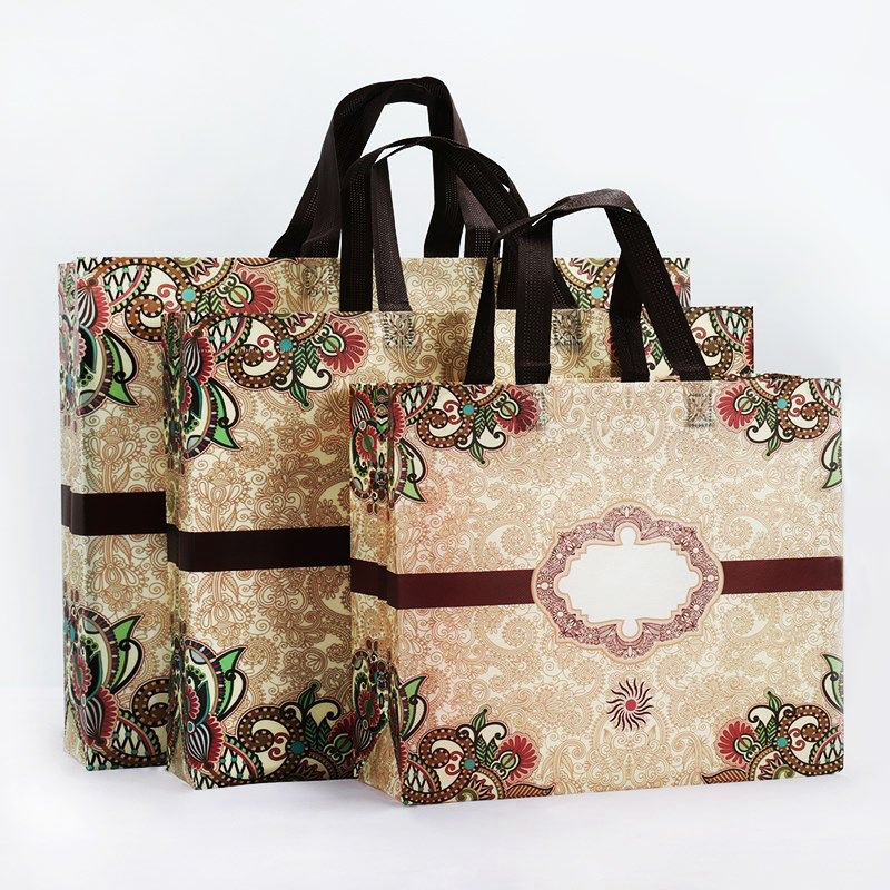 SBN005 Reusable Bags