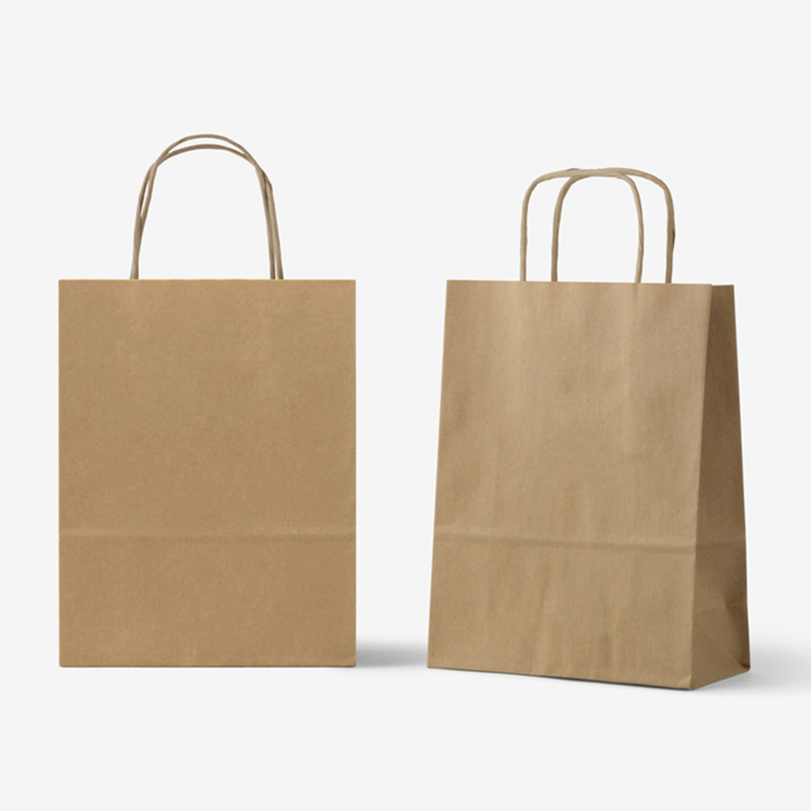 White Kraft Paper Bags With Handles