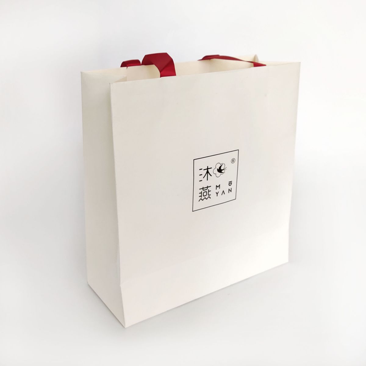 Custom Printed Paper Shopping Bag with Ribbon Handles