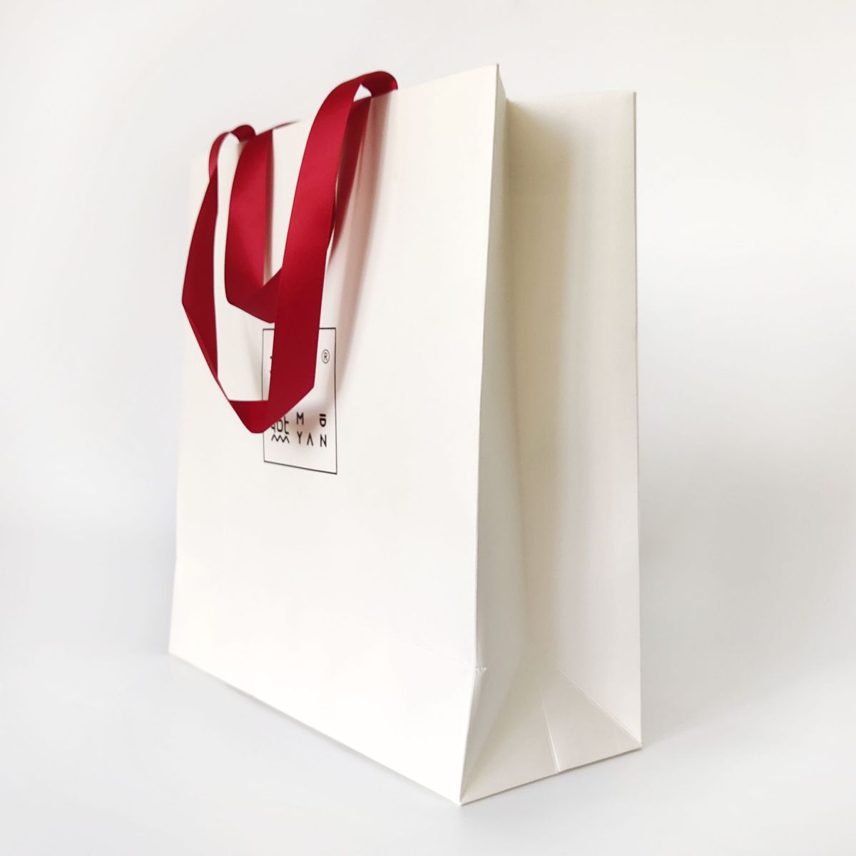 Custom Printed Paper Shopping Bag with Ribbon Handles