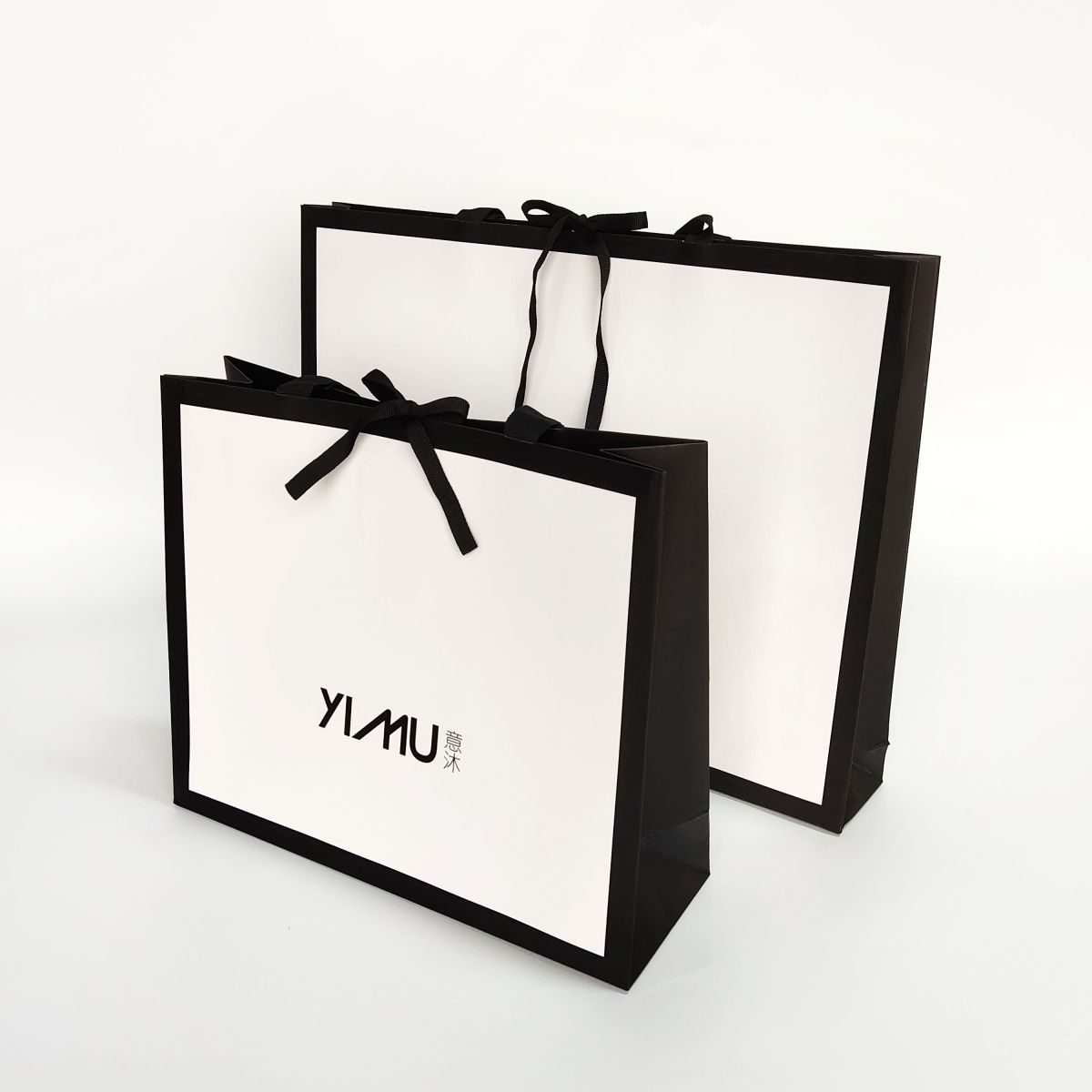Printed Ribbon Handle Paper Gift Bags