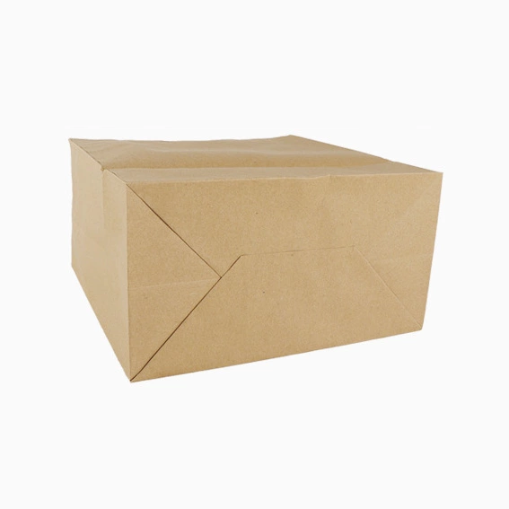 flat paper handles bags