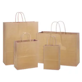 Brown Kraft Twisted Handle Paper Bag