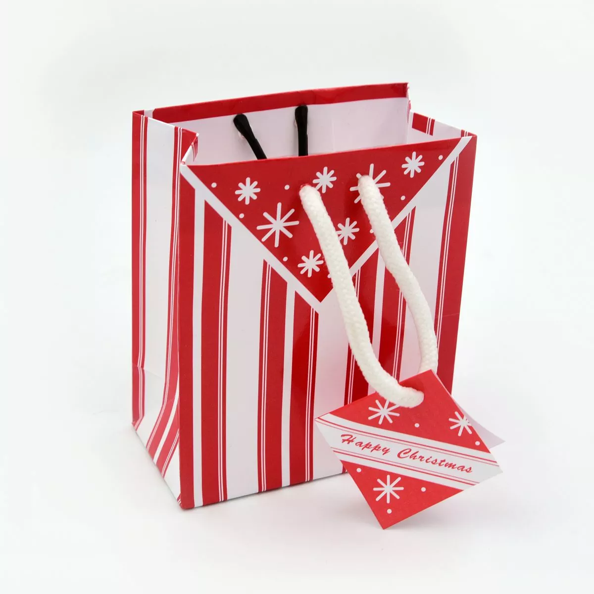 Mini Christmas Gift Bag with Gift Card