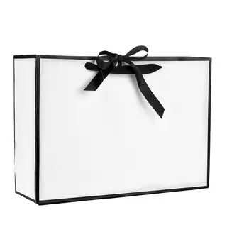 White Matt Laminated Rope Handle Paper Bags