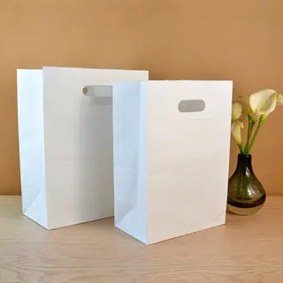White Paper Bag Supplier