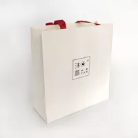 Custom Printed Paper Shopping Bag with Ribbon Handles