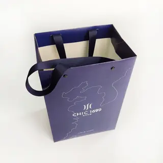 Printed Paper Bags With Handles
