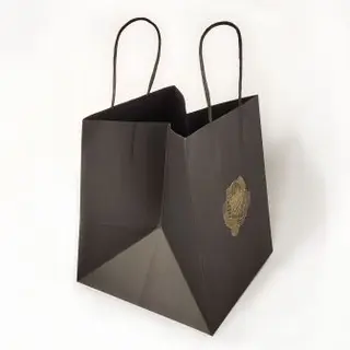Christmas Printed Paper Gift Bag with Card