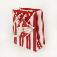 Mini Christmas Gift Bag