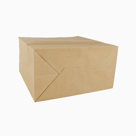 Craft Paper Bag Craft Paper Bag