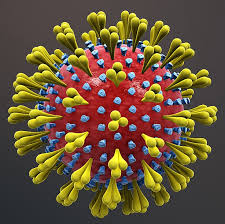 The Physical Size of Coronavirus (COVID-19) and Various Microorganisms