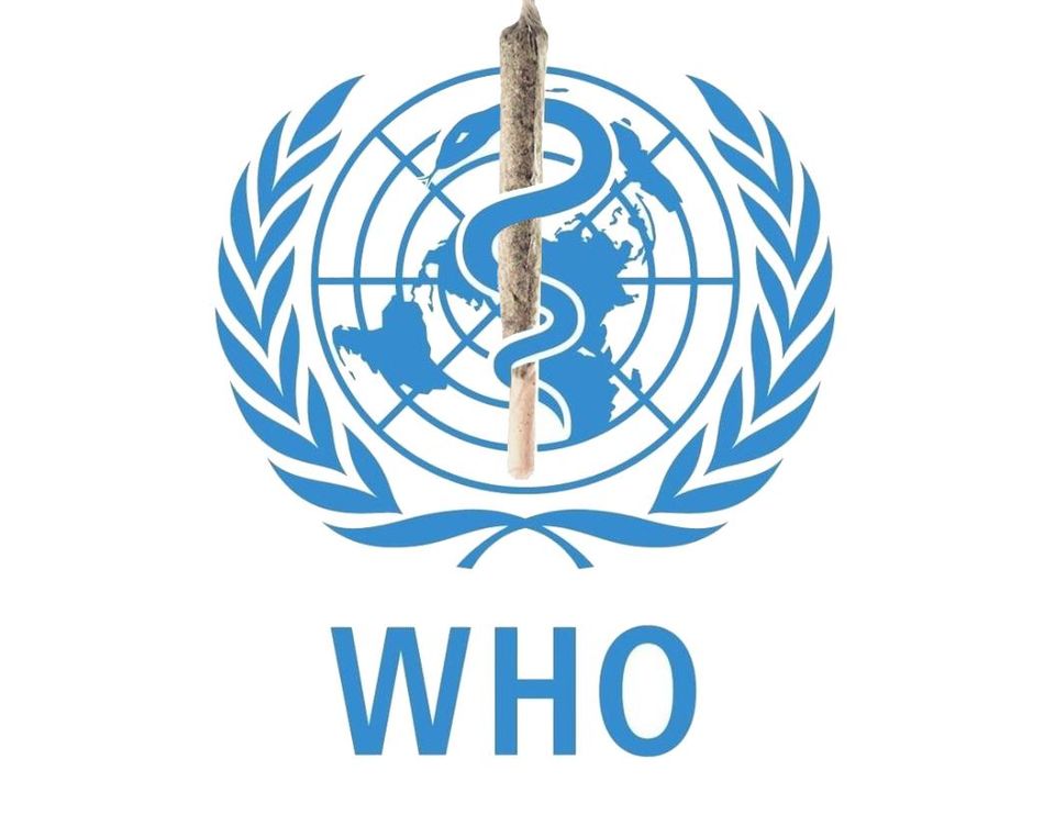Latest COVID-19 Guidelines Issued by WHO