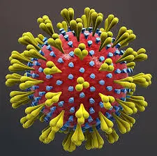 The Physical Size of Coronavirus (COVID-19) and Various Microorganisms